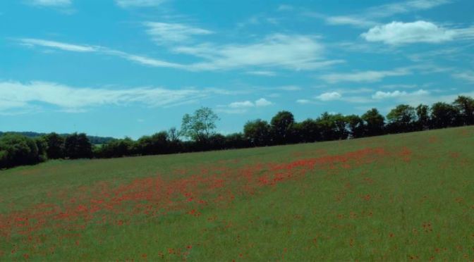 “In Flanders Fields”: A Cinematic Poem Short Film Directed By Tim Mountain (2017)